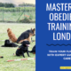 Enriching Your Dog's Life: Benefits of Dog Obedience Training in London